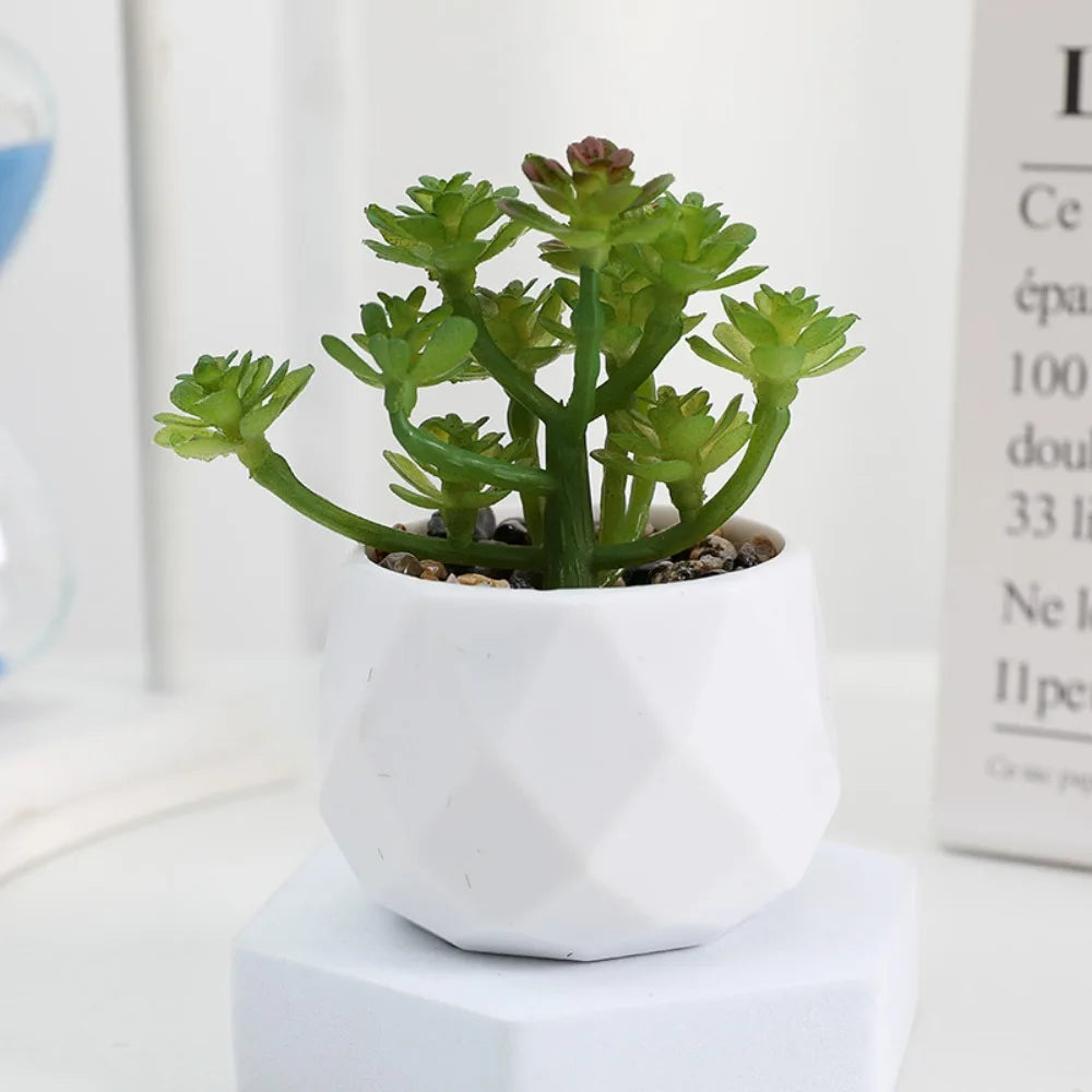 Simulazione Di Piante Bonsai E Succulente Artificiali Mini Evergreen Bonsai Cactus Decor Plastica Finta Per Decorazione