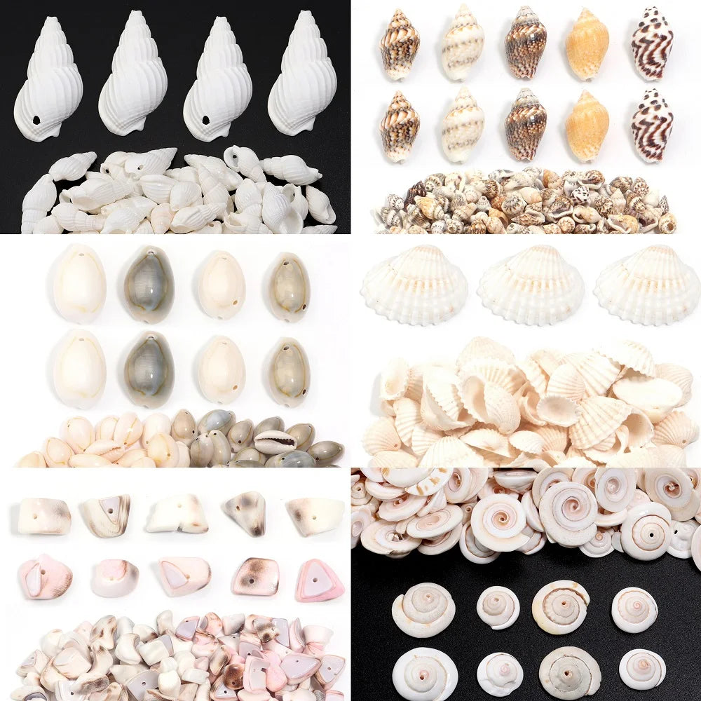 Perline Di Conchiglia Di Mare 30g 40g 50g Conchiglie A Spirale Distanziatori Per Artigianato Fai Da Te Decorazioni Casa