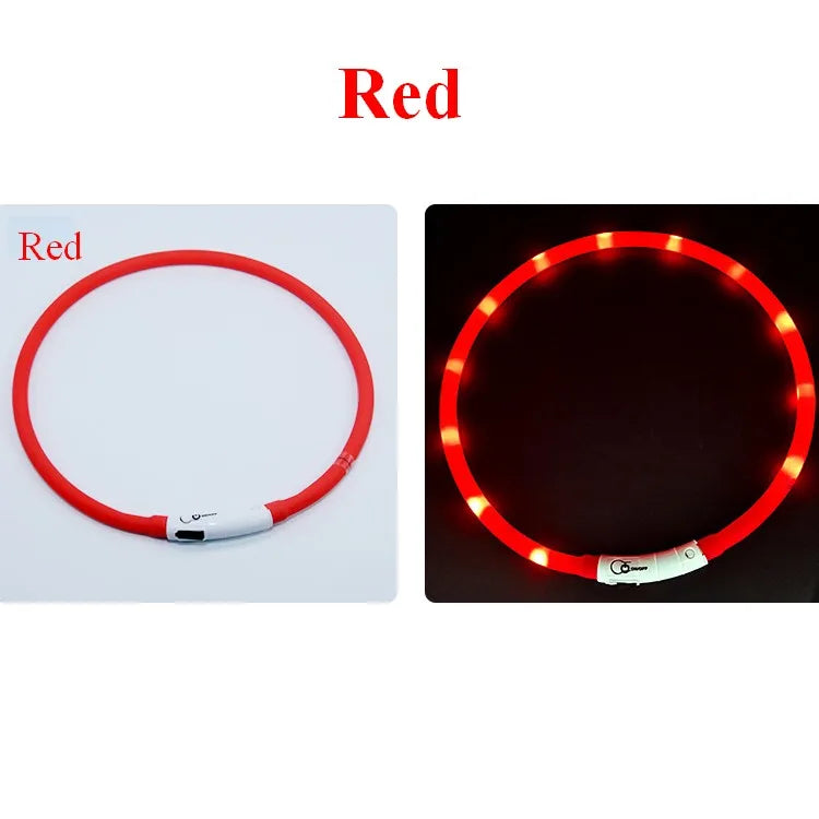 Collare Per Cani In Silicone LED Ricaricabile Tre Modalità Luce Lampeggiante Sicurezza Notturna Anti Smarrimento 70 Cm