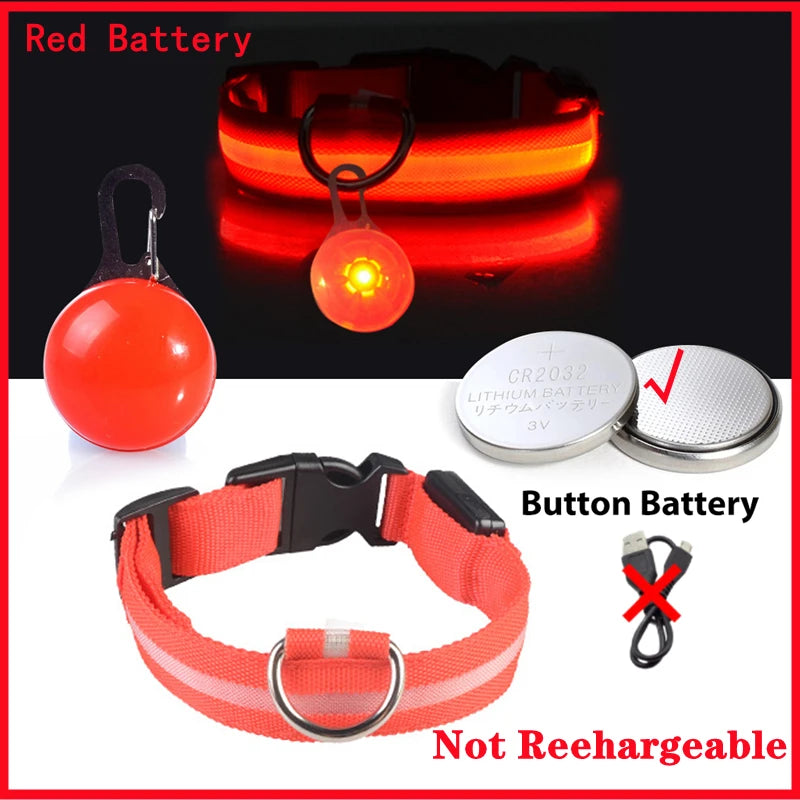 Collare Luminoso USB Ricaricabile Per Cani Di Piccola Taglia Pendente Staccabile Con Luce LED Notturna COOYOMOO