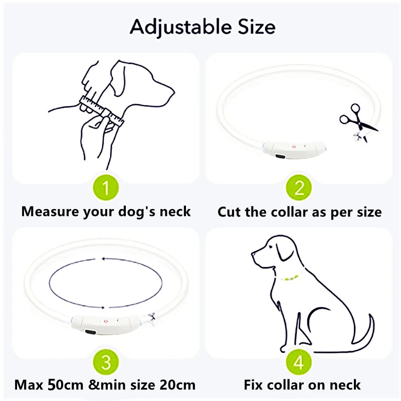 Collare Luminoso USB Ricaricabile Con Led Regolabile Cani Di Piccola Taglia E Gatti Luce Notturna Sicurezza Animali