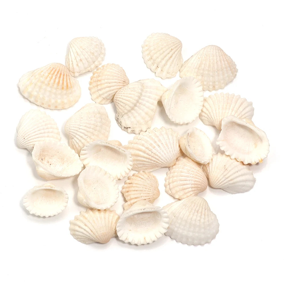 Perline Di Conchiglia Di Mare 30g 40g 50g Conchiglie A Spirale Distanziatori Per Artigianato Fai Da Te Decorazioni Casa