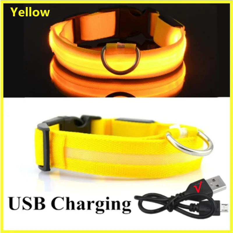 Collare Luminoso USB Ricaricabile Con Led Regolabile Cani Di Piccola Taglia E Gatti Luce Notturna Sicurezza Animali