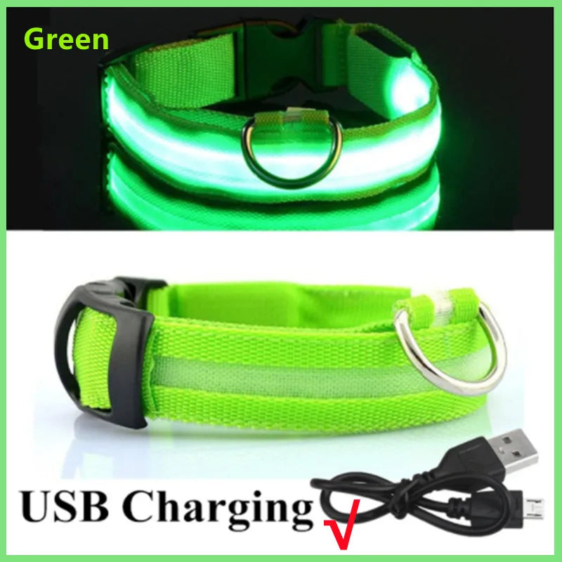 Collare Luminoso USB Ricaricabile Con Led Regolabile Cani Di Piccola Taglia E Gatti Luce Notturna Sicurezza Animali