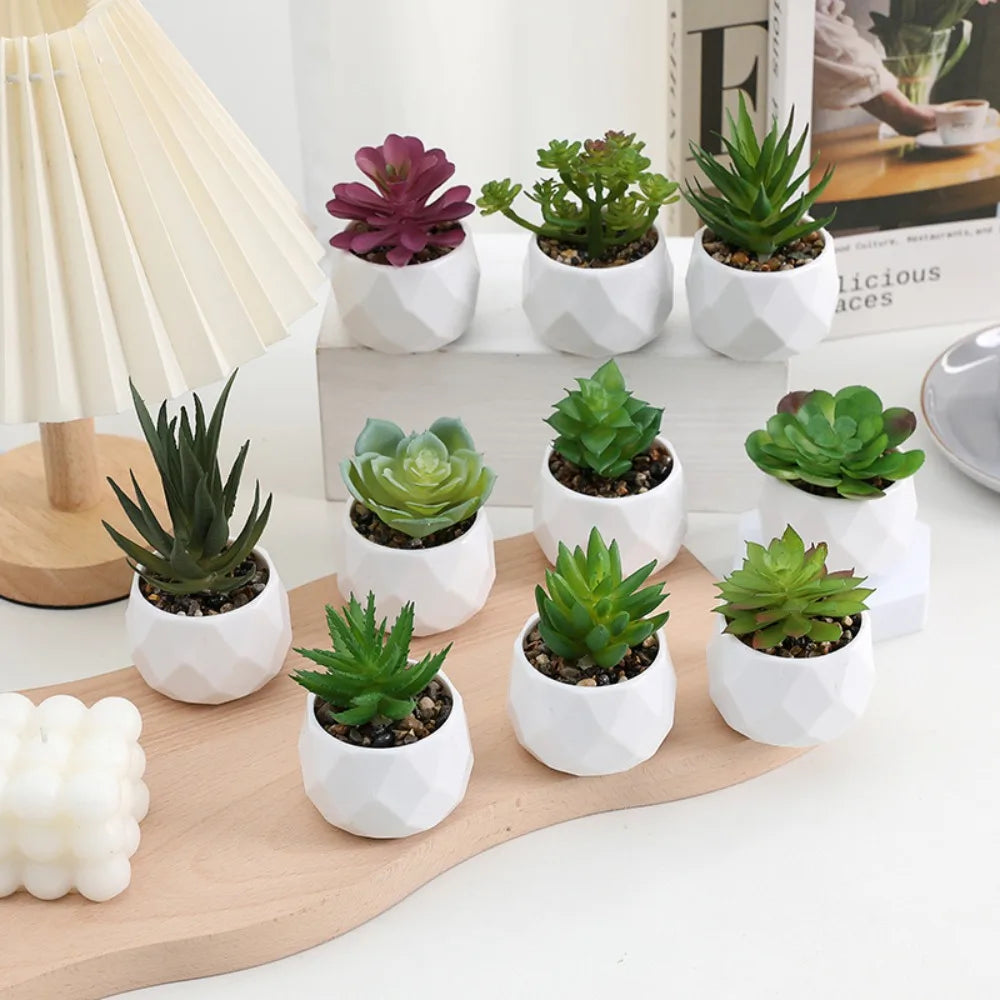 Simulazione Di Piante Bonsai E Succulente Artificiali Mini Evergreen Bonsai Cactus Decor Plastica Finta Per Decorazione