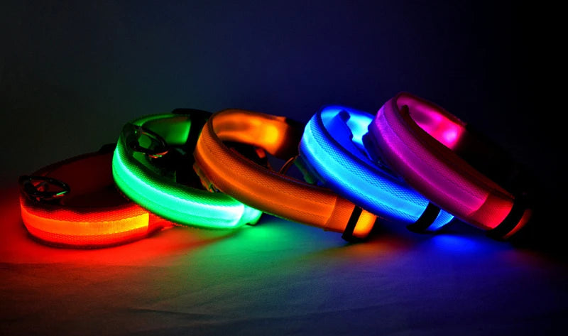 Collare Luminoso USB Ricaricabile Per Cani Di Piccola Taglia Pendente Staccabile Con Luce LED Notturna COOYOMOO