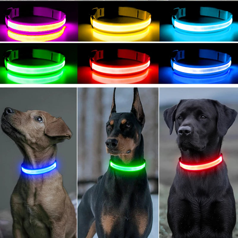 Collare Luminoso USB Ricaricabile Con Led Regolabile Cani Di Piccola Taglia E Gatti Luce Notturna Sicurezza Animali