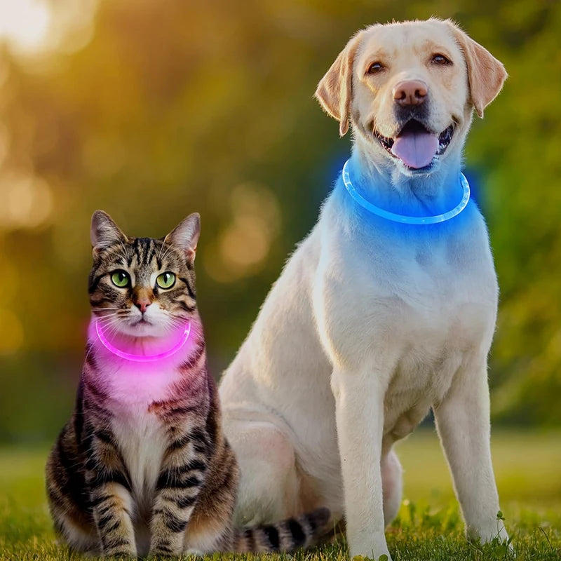 Collare Di Ricarica Luminoso Per Cani A 3 Modalità USB LED Staccabile Anti Smarrimento Notturno
