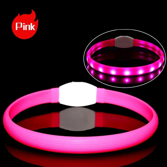 Collare Luminoso LED Impermeabile per Cani in PVC con Luce USB Sicurezza Notturna Taglie Piccola Media Grande