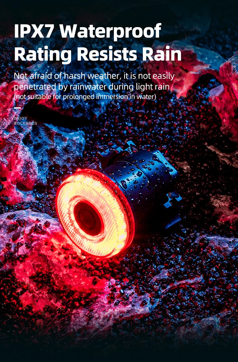 ROCKBROS Fanale Posteriore Per Bicicletta Intelligente Ricaricabile Tipo C Impermeabile IPX7 Per Guida Notturna