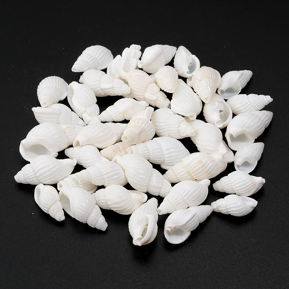 Perline Di Conchiglia Di Mare 30g 40g 50g Conchiglie A Spirale Distanziatori Per Artigianato Fai Da Te Decorazioni Casa