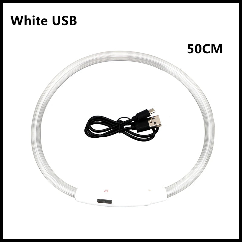 Collare Luminoso USB Ricaricabile Con Led Regolabile Cani Di Piccola Taglia E Gatti Luce Notturna Sicurezza Animali