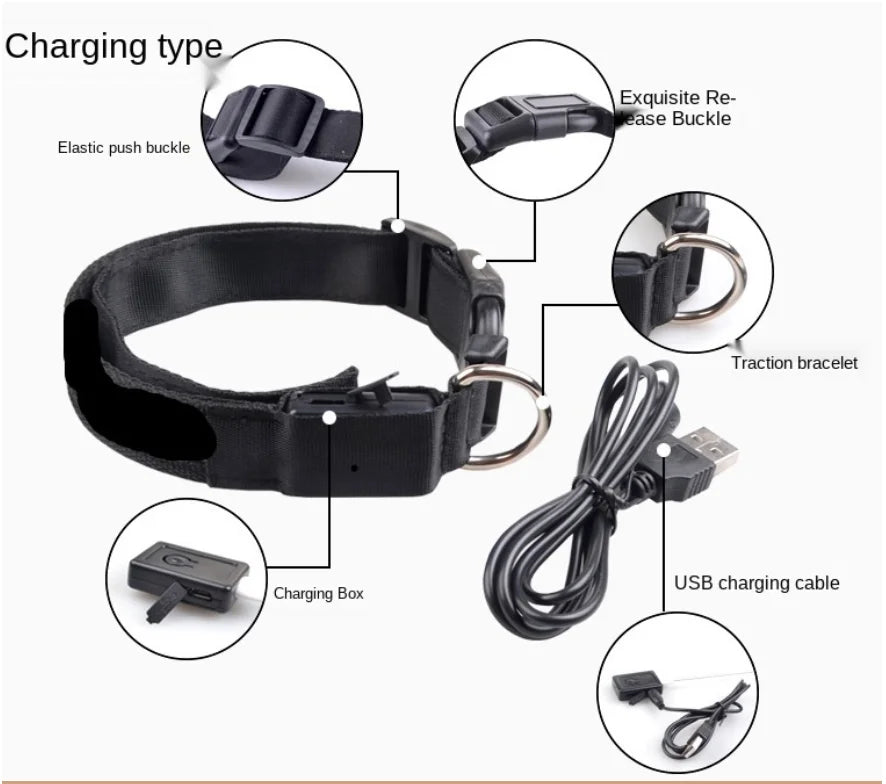 Collare Luminoso USB Ricaricabile Con Led Regolabile Cani Di Piccola Taglia E Gatti Luce Notturna Sicurezza Animali