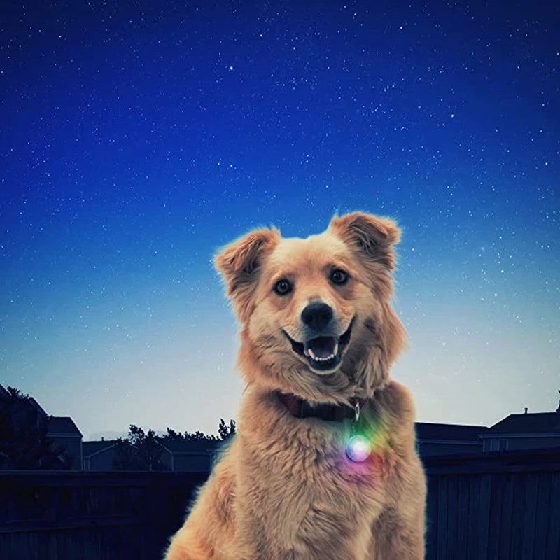 Collare Luminoso USB Ricaricabile Per Cani Di Piccola Taglia Pendente Staccabile Con Luce LED Notturna COOYOMOO