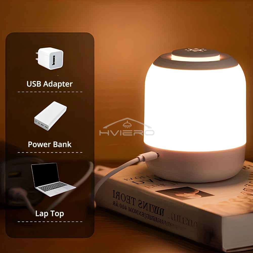Lampada Da Tavolo Dimmerabile Con Controllo Tocco USB Ricaricabile Luce Notturna Per Camera E Soggiorno Decorazione