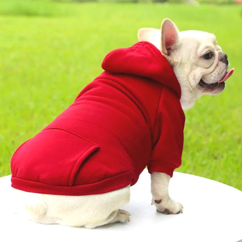 Felpa Invernale con Cappuccio per Cani e Gatti Taglia Piccola e Media Abbigliamento Animali Domestici Giacca Costume