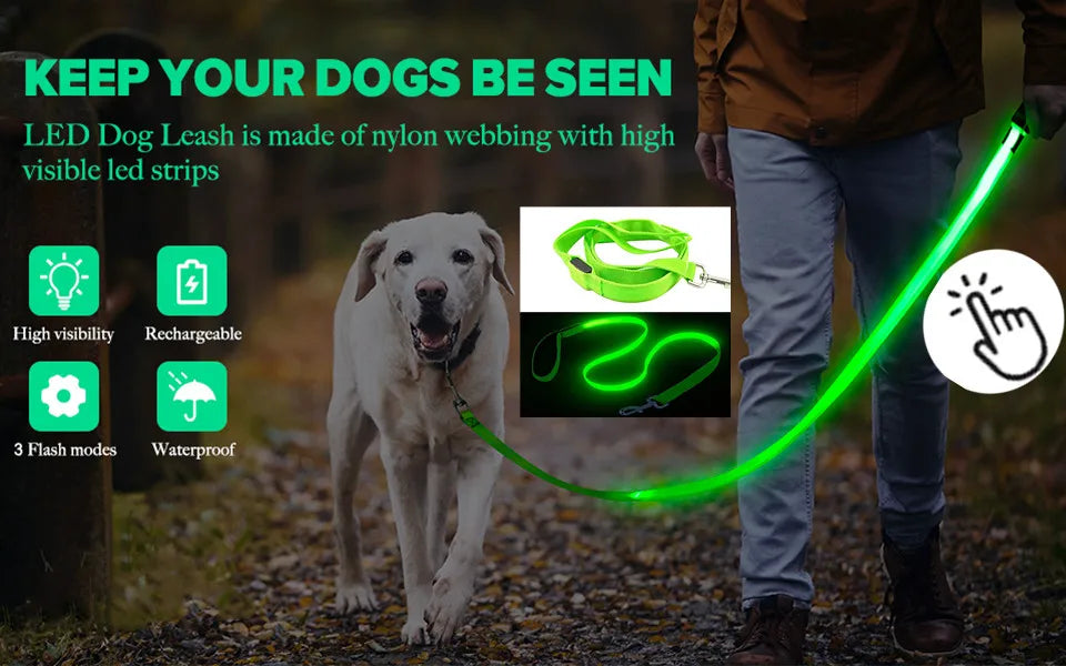 Collare Luminoso USB Ricaricabile Con Led Regolabile Cani Di Piccola Taglia E Gatti Luce Notturna Sicurezza Animali