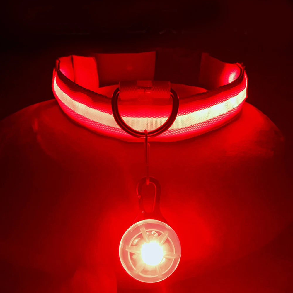 Collare Luminoso USB Ricaricabile Per Cani Di Piccola Taglia Pendente Staccabile Con Luce LED Notturna COOYOMOO