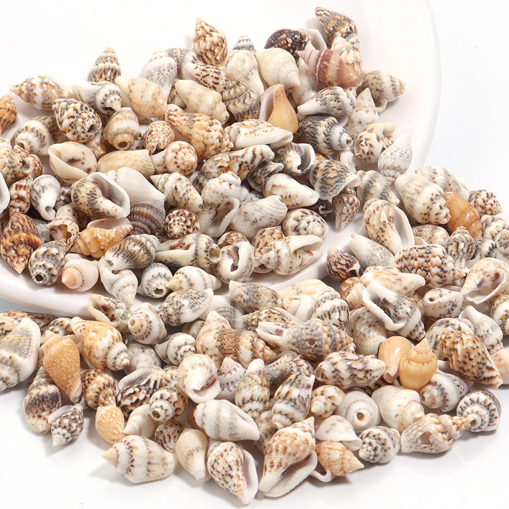 Perline Di Conchiglia Di Mare 30g 40g 50g Conchiglie A Spirale Distanziatori Per Artigianato Fai Da Te Decorazioni Casa