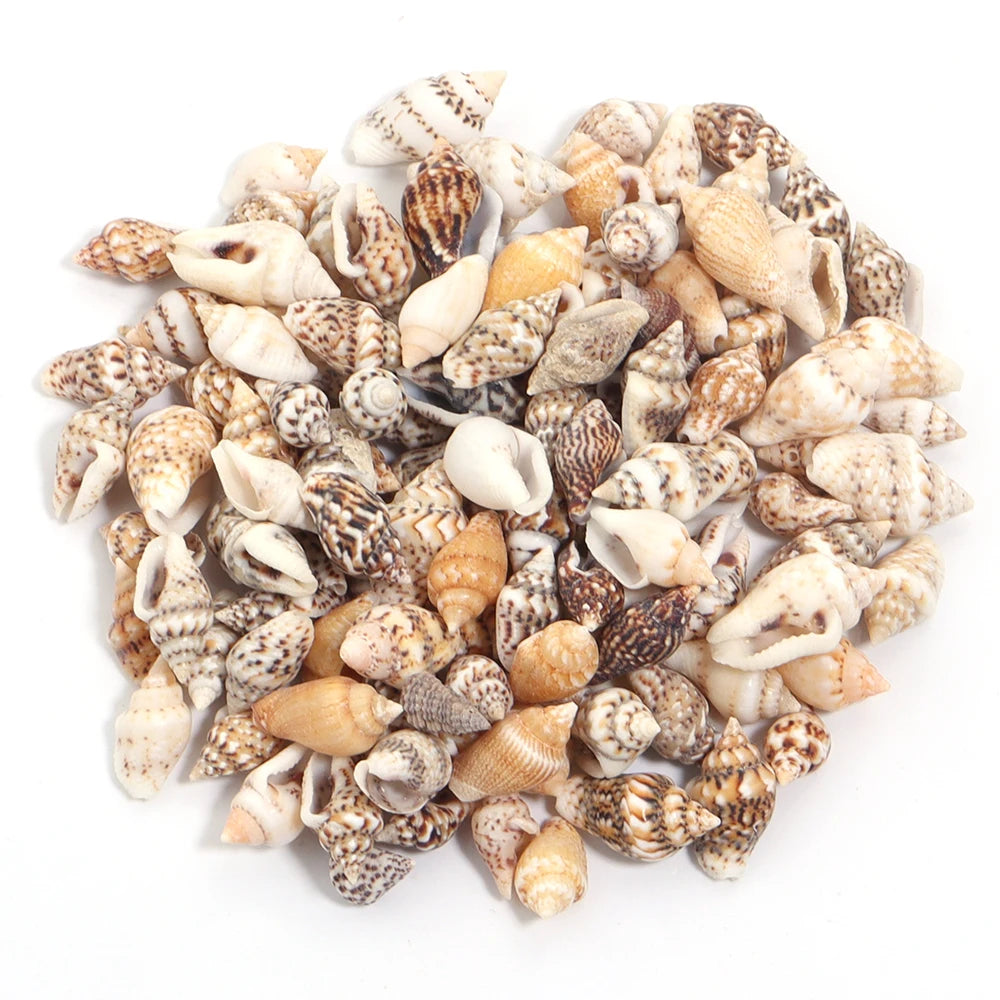 Perline Di Conchiglia Di Mare 30g 40g 50g Conchiglie A Spirale Distanziatori Per Artigianato Fai Da Te Decorazioni Casa