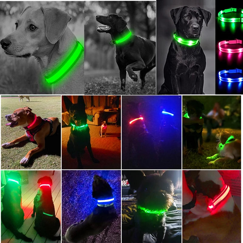 Collare Luminoso USB Ricaricabile Con Led Regolabile Cani Di Piccola Taglia E Gatti Luce Notturna Sicurezza Animali