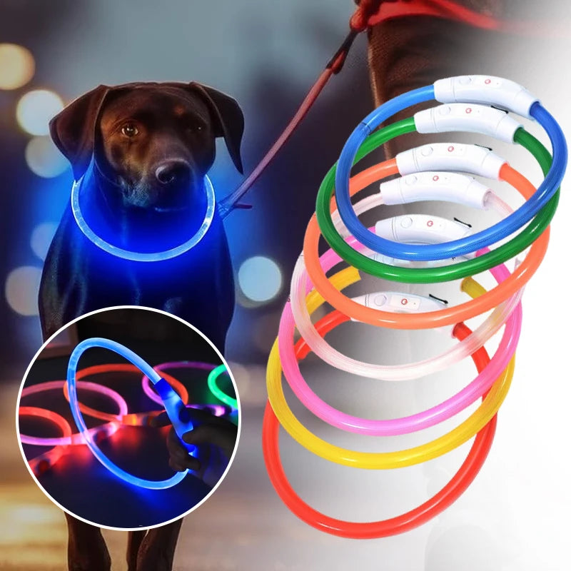 Collare Di Ricarica Luminoso Per Cani A 3 Modalità USB LED Staccabile Anti Smarrimento Notturno