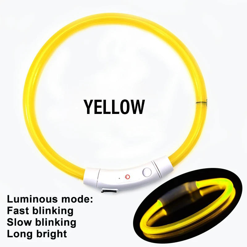 Collare Di Ricarica Luminoso Per Cani A 3 Modalità USB LED Staccabile Anti Smarrimento Notturno