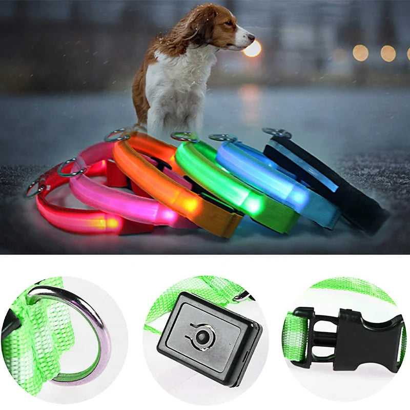 Collare Luminoso USB Ricaricabile Per Cani Di Piccola Taglia Pendente Staccabile Con Luce LED Notturna COOYOMOO