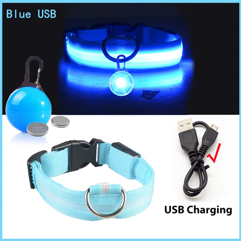 Collare Luminoso USB Ricaricabile Per Cani Di Piccola Taglia Pendente Staccabile Con Luce LED Notturna COOYOMOO