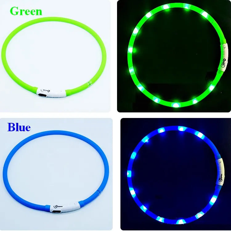 Collare Per Cani In Silicone LED Ricaricabile Tre Modalità Luce Lampeggiante Sicurezza Notturna Anti Smarrimento 70 Cm