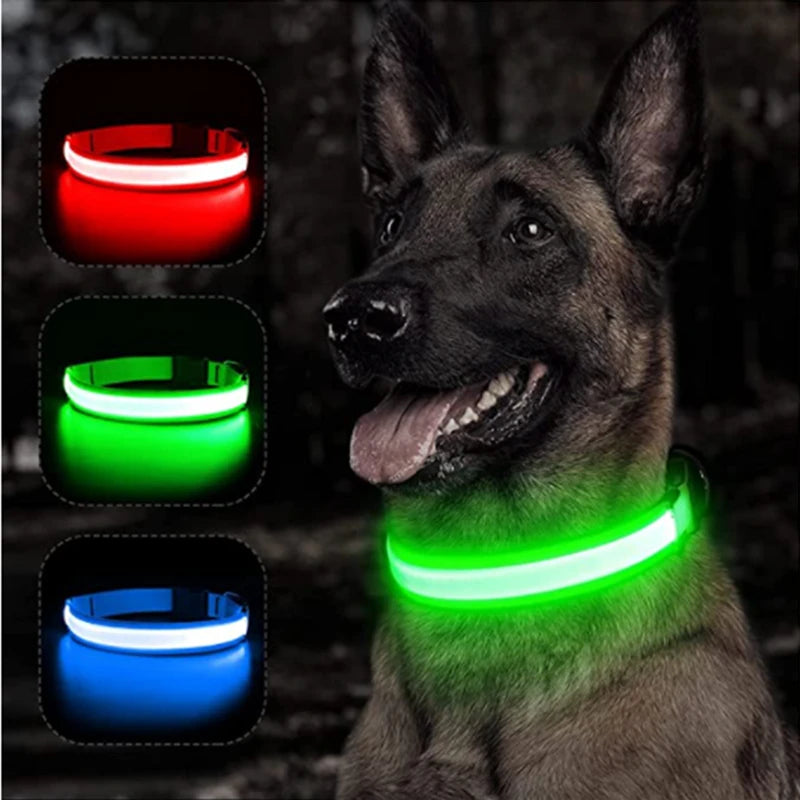 Collare Luminoso USB Ricaricabile Con Led Regolabile Cani Di Piccola Taglia E Gatti Luce Notturna Sicurezza Animali