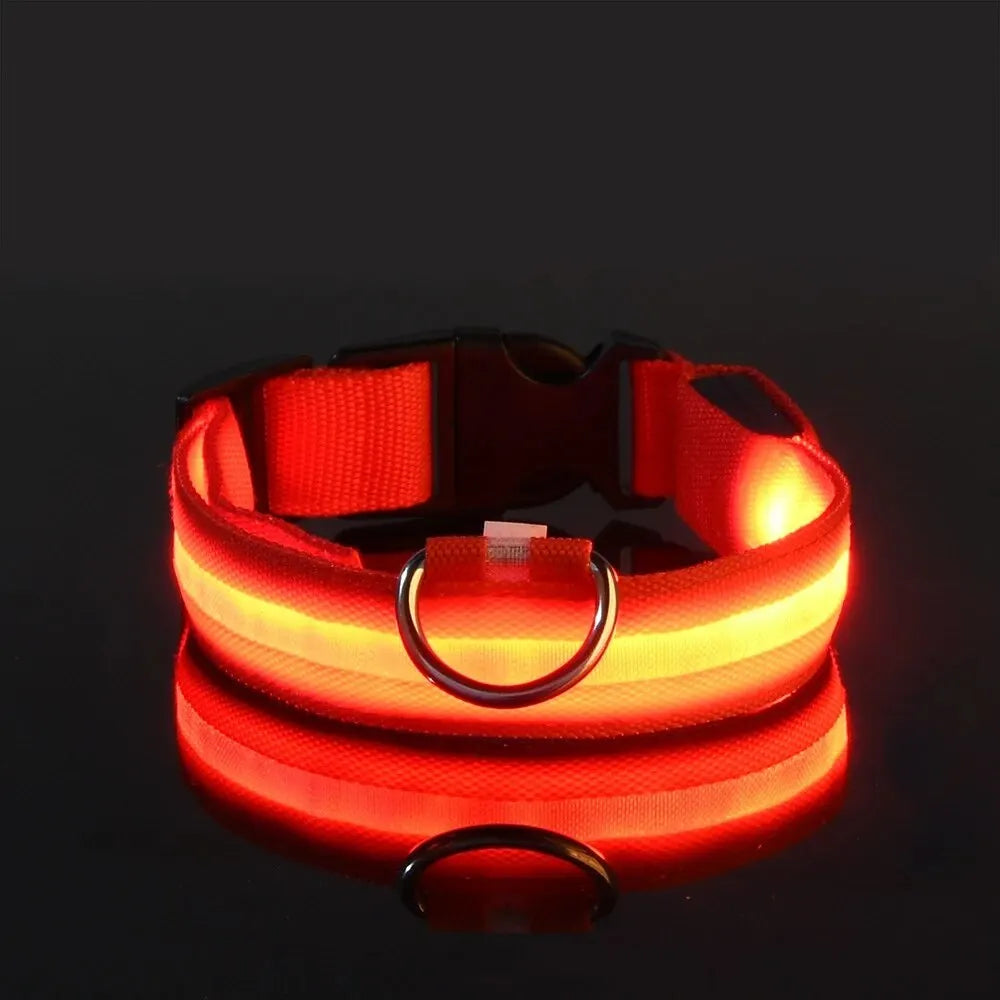 Guinzaglio per Cani in Nylon Led Sicurezza Notturna Lampeggiante Illumina al Buio Collare Fluorescente Luminoso