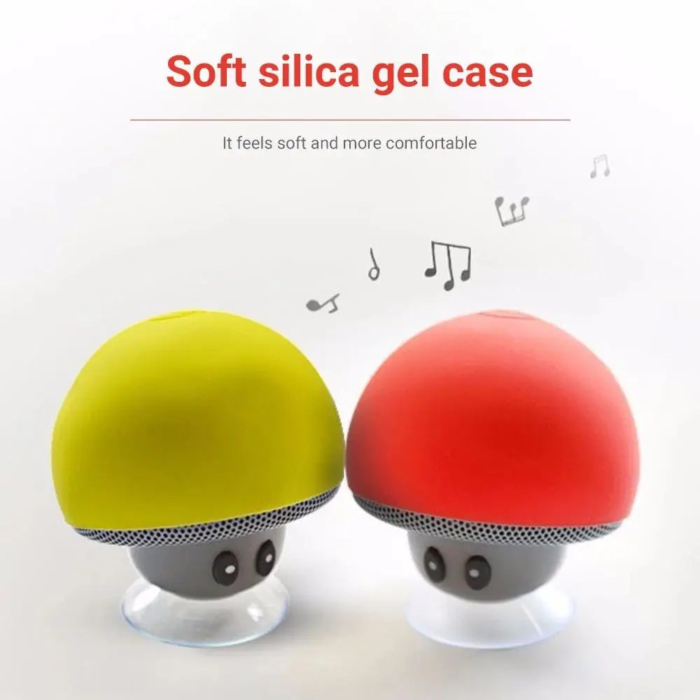 DUTRIEUX Altoparlante Bluetooth Con Subwoofer Integrato Ventosa Per Ciclisti Outdoor 30 Piedi