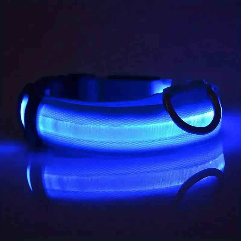 Guinzaglio per Cani in Nylon Led Sicurezza Notturna Lampeggiante Illumina al Buio Collare Fluorescente Luminoso