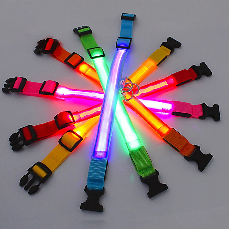 Collare Luminoso USB Ricaricabile Con Led Regolabile Cani Di Piccola Taglia E Gatti Luce Notturna Sicurezza Animali