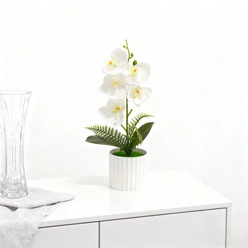 Vaso Da Bar Verticale Con 5 Orchidee A Farfalla Per Matrimonio E Scrivania Decorazione Piante Verdi In Set Design