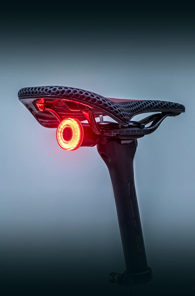 ROCKBROS Fanale Posteriore Per Bicicletta Intelligente Ricaricabile Tipo C Impermeabile IPX7 Per Guida Notturna