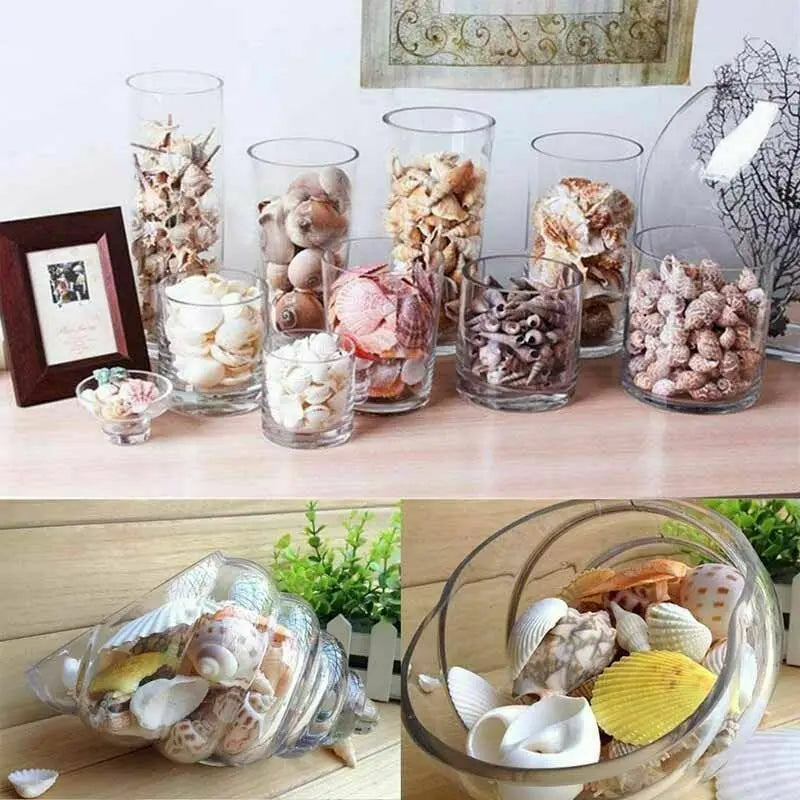 Conchiglie Di Mare Miste Dimensioni Da 200 A 250 Grammi Per Decorazioni Spiaggia Matrimonio Casa Acquario Diy