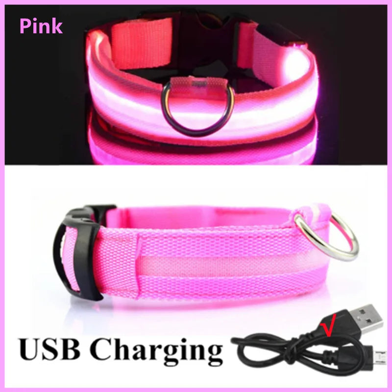 Collare Luminoso USB Ricaricabile Con Led Regolabile Cani Di Piccola Taglia E Gatti Luce Notturna Sicurezza Animali