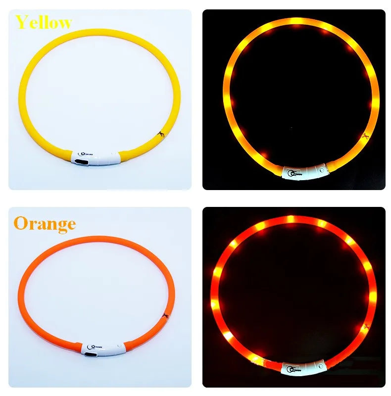 Collare Per Cani In Silicone LED Ricaricabile Tre Modalità Luce Lampeggiante Sicurezza Notturna Anti Smarrimento 70 Cm