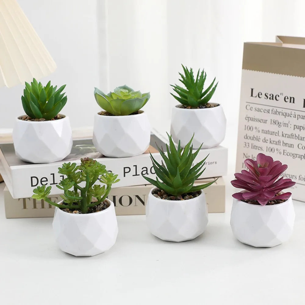 Simulazione Di Piante Bonsai E Succulente Artificiali Mini Evergreen Bonsai Cactus Decor Plastica Finta Per Decorazione