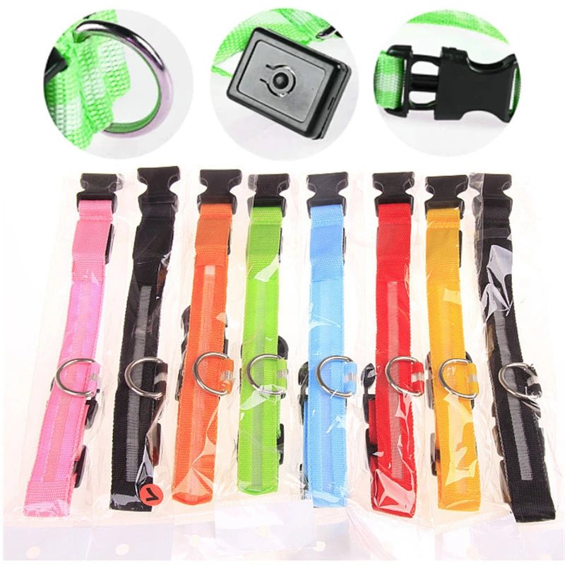 Collare Luminoso USB Ricaricabile Per Cani Di Piccola Taglia Pendente Staccabile Con Luce LED Notturna COOYOMOO