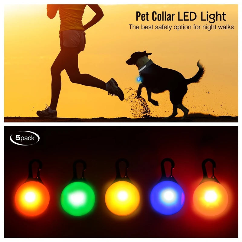 Collare Luminoso USB Ricaricabile Per Cani Di Piccola Taglia Pendente Staccabile Con Luce LED Notturna COOYOMOO