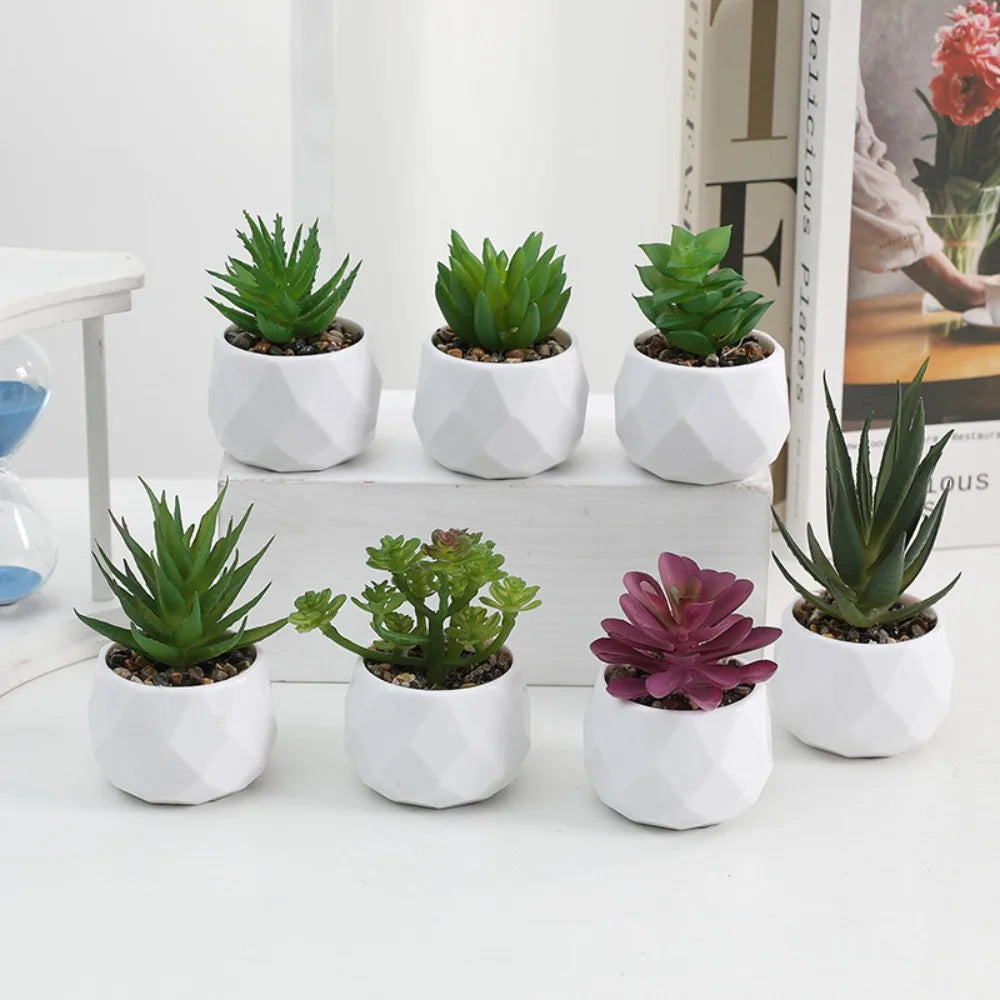 Simulazione Di Piante Bonsai E Succulente Artificiali Mini Evergreen Bonsai Cactus Decor Plastica Finta Per Decorazione