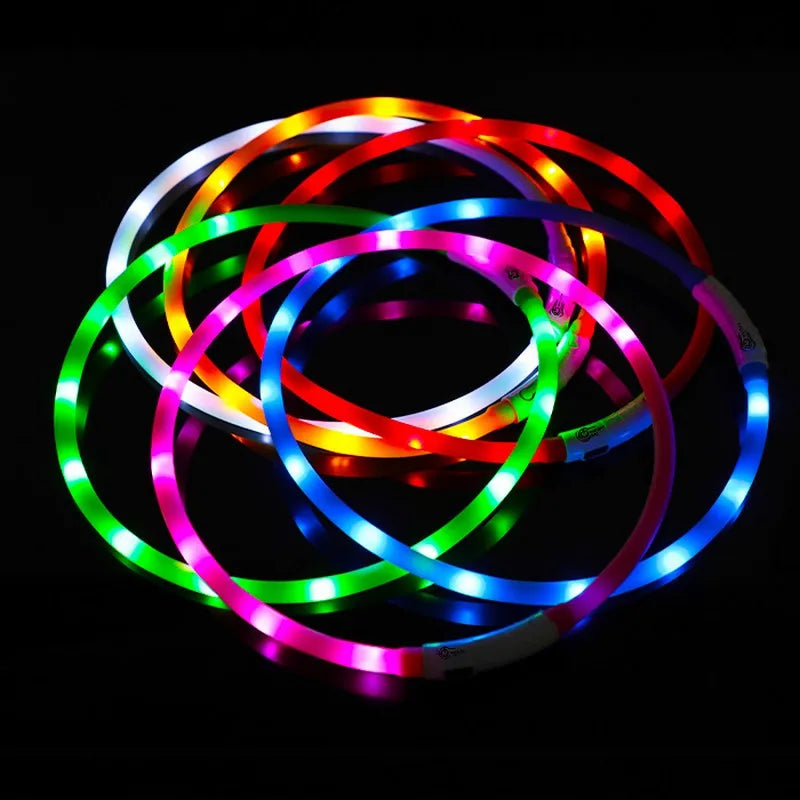 Collare Per Cani In Silicone LED Ricaricabile Tre Modalità Luce Lampeggiante Sicurezza Notturna Anti Smarrimento 70 Cm