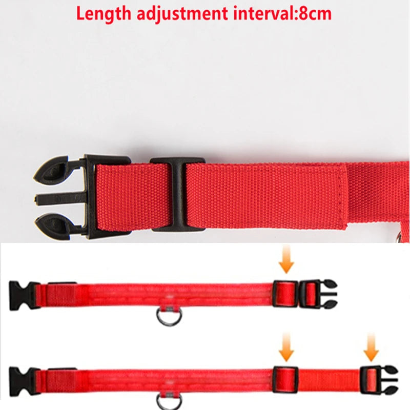 Collare Luminoso USB Ricaricabile Per Cani Di Piccola Taglia Pendente Staccabile Con Luce LED Notturna COOYOMOO