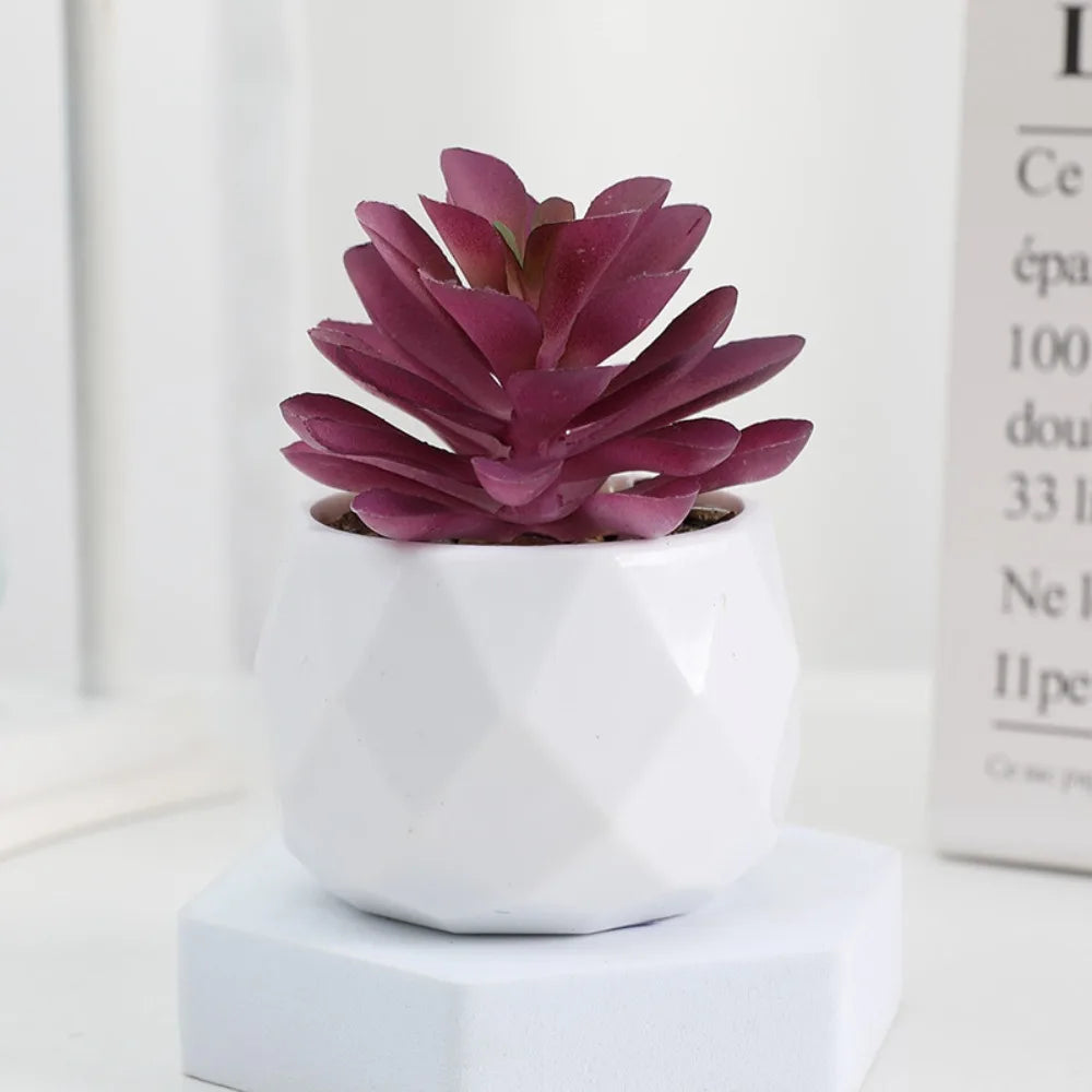 Simulazione Di Piante Bonsai E Succulente Artificiali Mini Evergreen Bonsai Cactus Decor Plastica Finta Per Decorazione