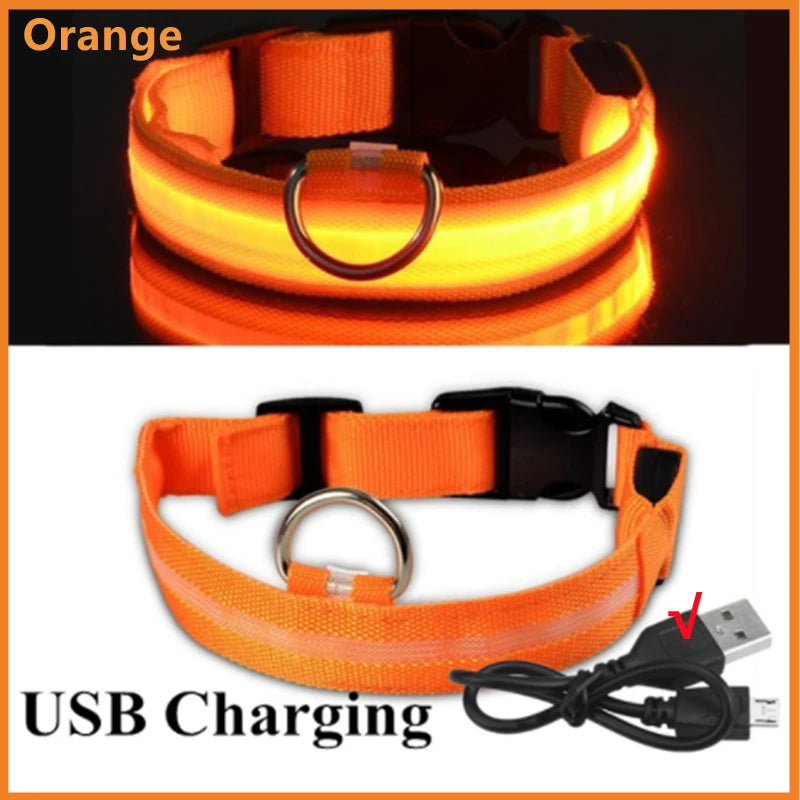 Collare Luminoso USB Ricaricabile Con Led Regolabile Cani Di Piccola Taglia E Gatti Luce Notturna Sicurezza Animali