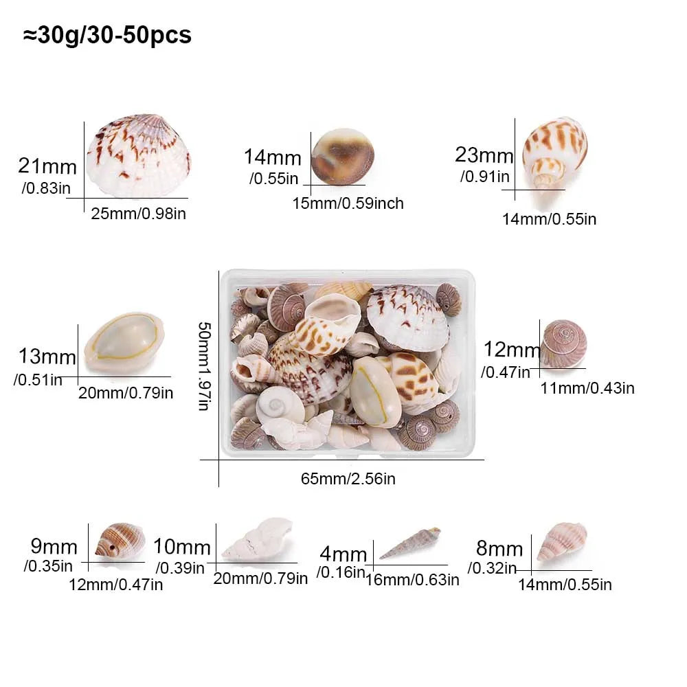 Scatola Di Conchiglie Di Mare Spirali Piccole Per Artigianato Decorazione Acquario Paesaggio Oggetti Scena Fotografia