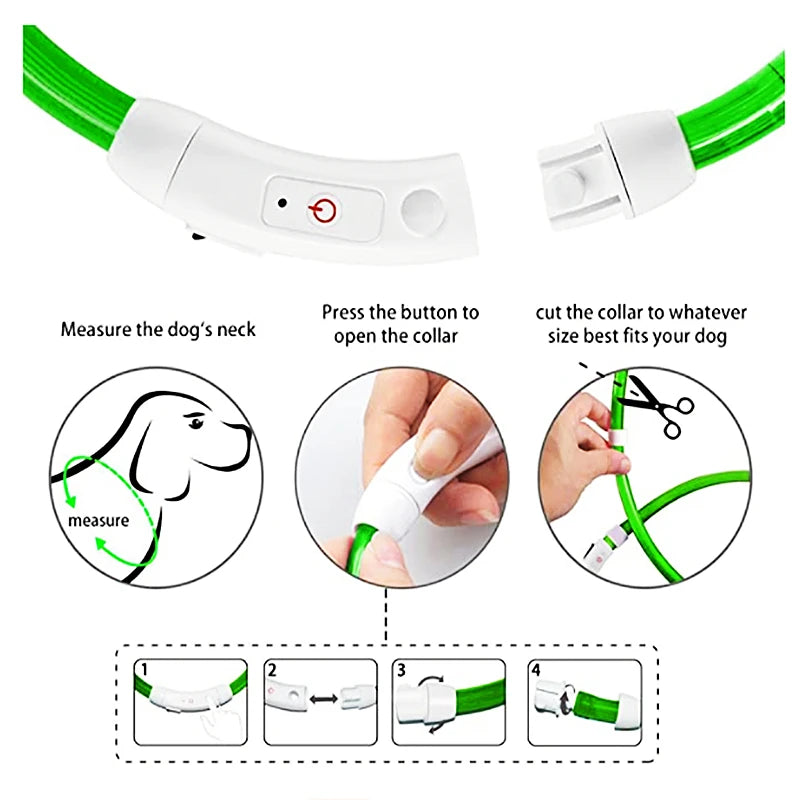 Collare Luminoso USB Ricaricabile Con Led Regolabile Cani Di Piccola Taglia E Gatti Luce Notturna Sicurezza Animali